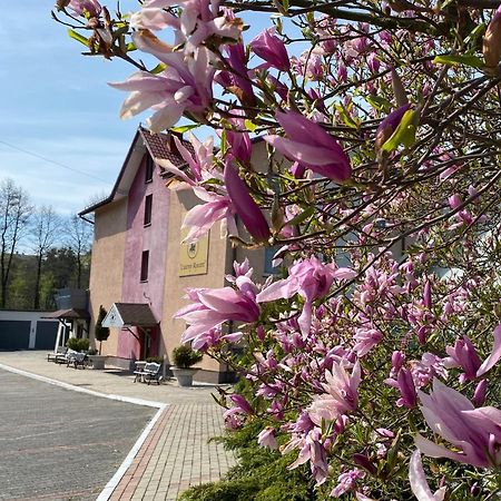 Obiekt "Czarny Rycerz" Lejlighedshotel Jastrzębie Zdrój Eksteriør billede