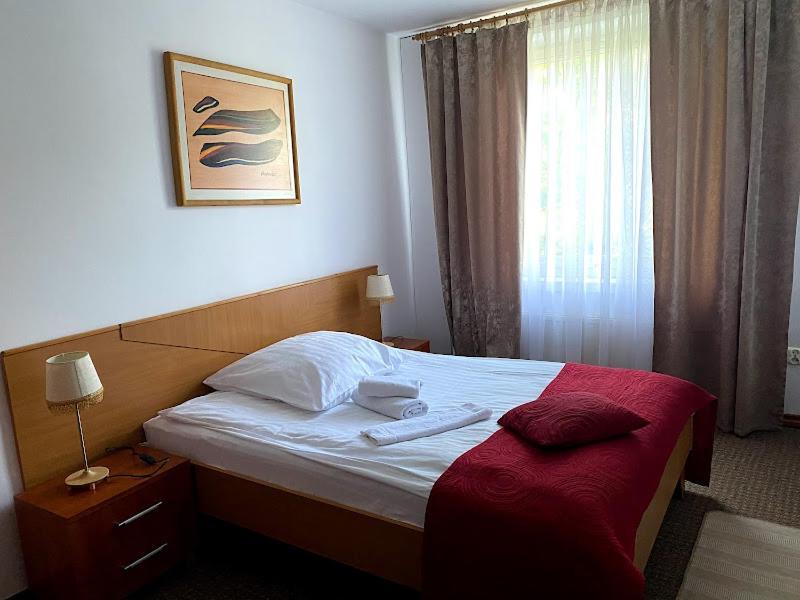Obiekt "Czarny Rycerz" Lejlighedshotel Jastrzębie Zdrój Eksteriør billede