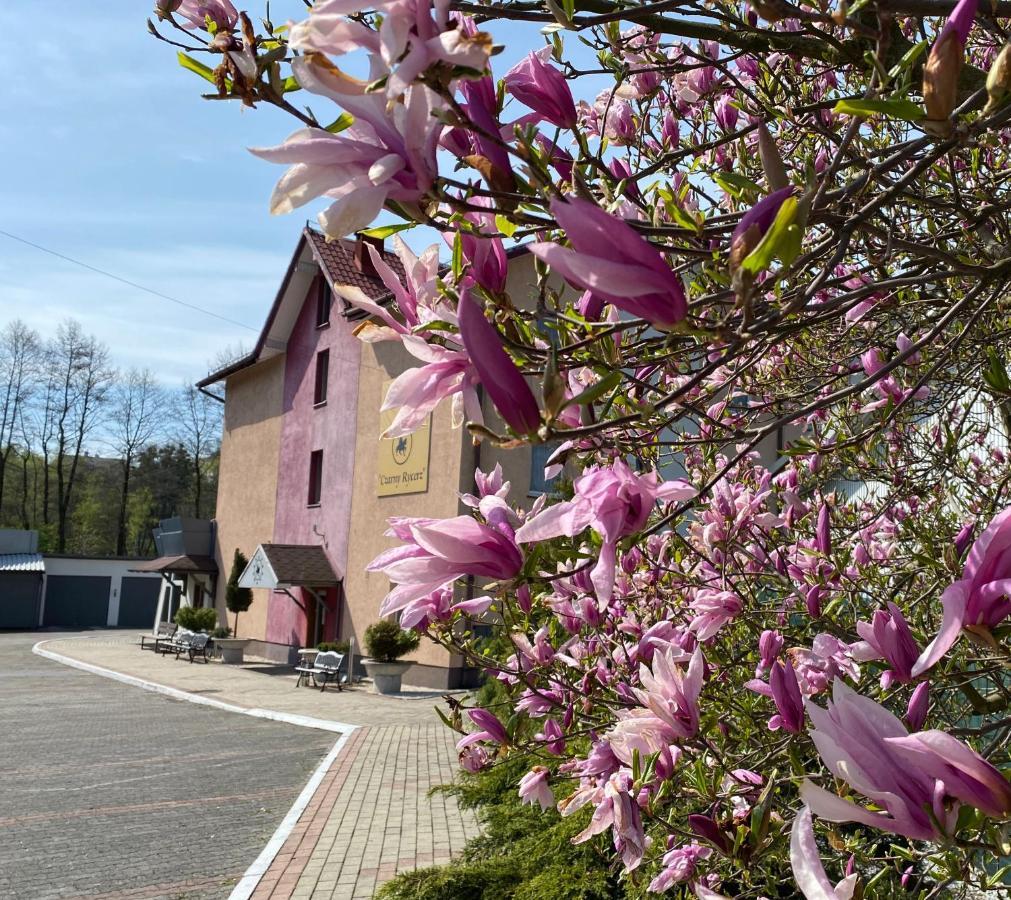 Obiekt "Czarny Rycerz" Lejlighedshotel Jastrzębie Zdrój Eksteriør billede
